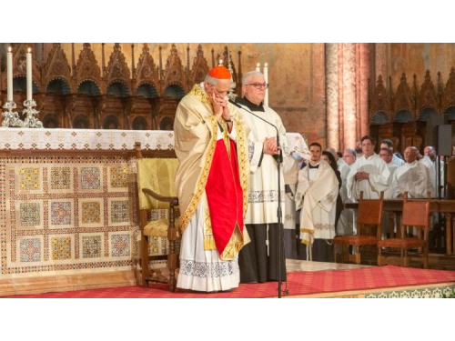 Kardinolas M. Zuppi: reikia prijaukinti baisųjį karo vilką