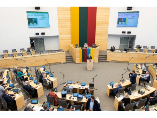 Seimas kreipėsi į Konstitucinį Teismą dėl Stambulo konvencijos